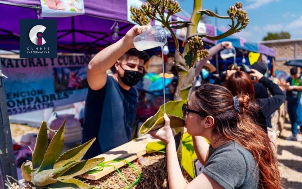 Cuando es la pulcata fest 2023 en Teotihuacán