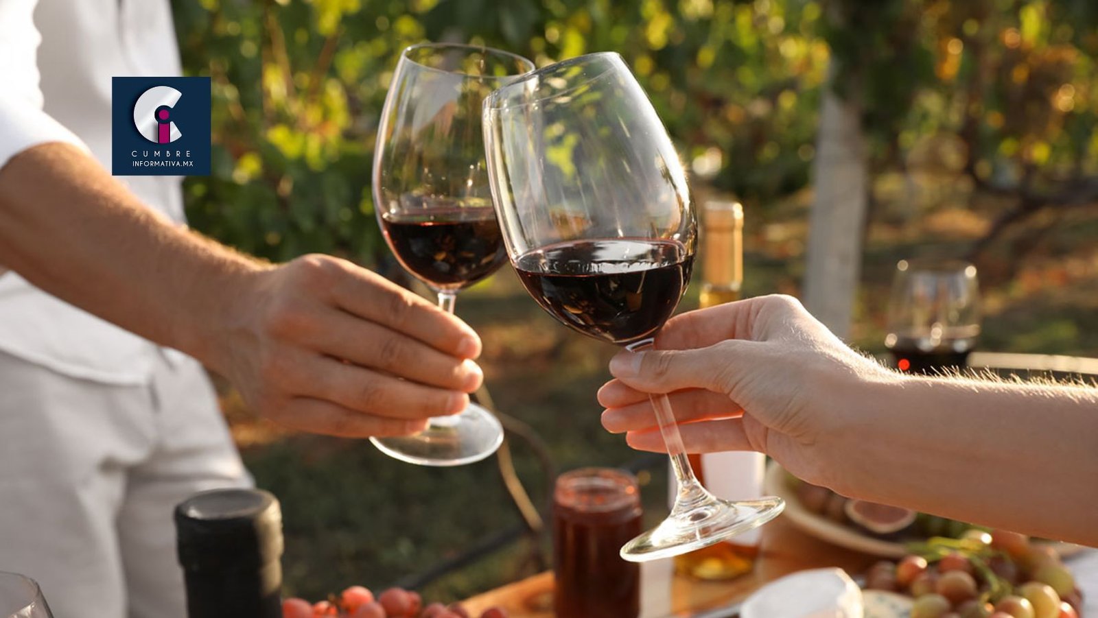 ¿Amante del vino? Apúntate al Festival del Vino en Metepec