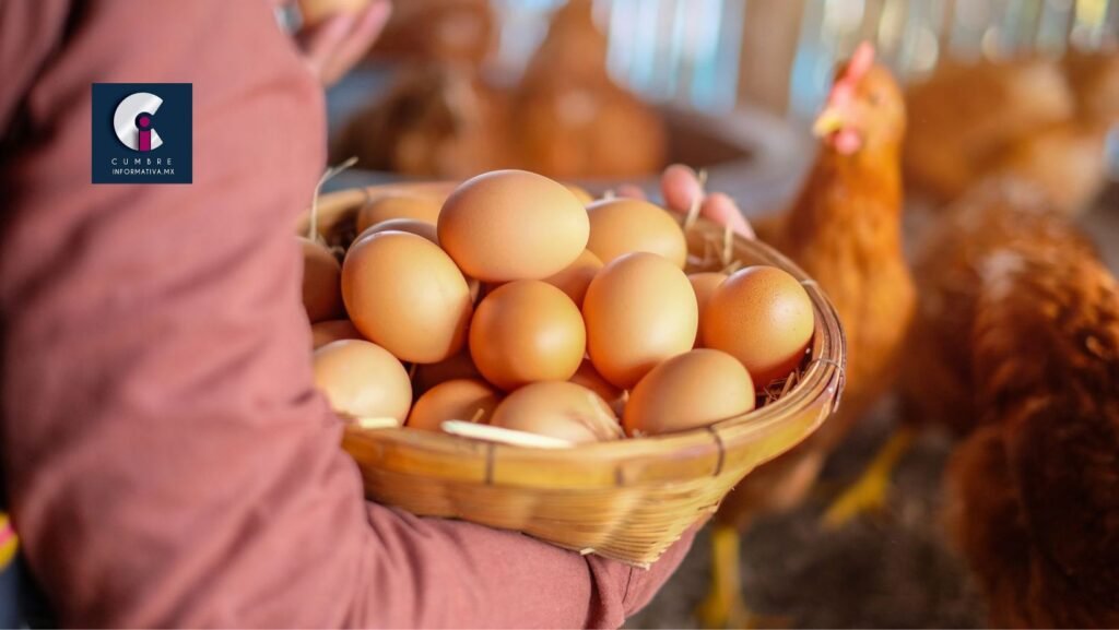 Toluca inicia la semana por las nubes en el precio del huevo
