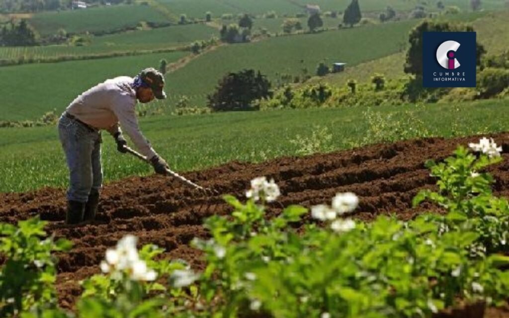 UAEMéx oferta Maestría en Agroindustria Rural