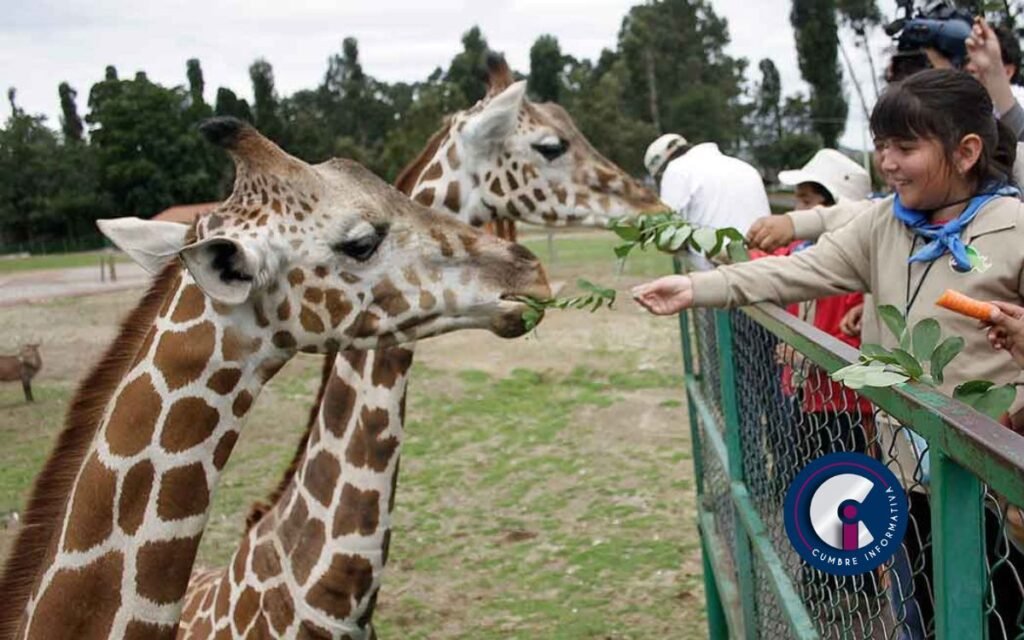 Zoológico de Zacango