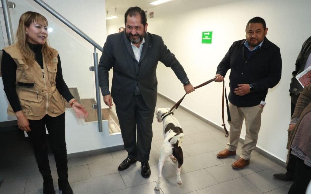 Diputado Paco Vázquez adopta a “Chalquito”, el perrito que conmovió un evento de Delfina Gómez