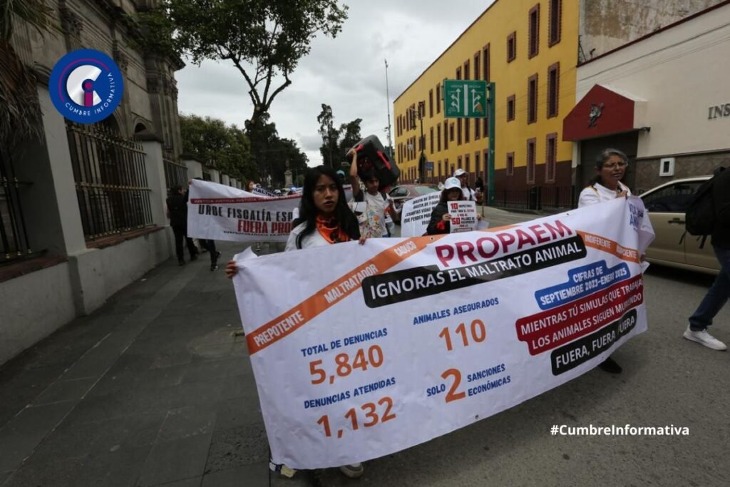 Marchan en Toluca contra el maltrato animal; exigen Fiscalía especializada