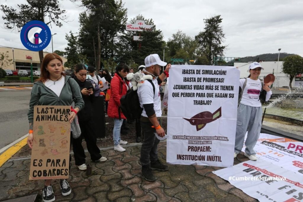 Marchan en Toluca contra el maltrato animal; exigen Fiscalía especializada