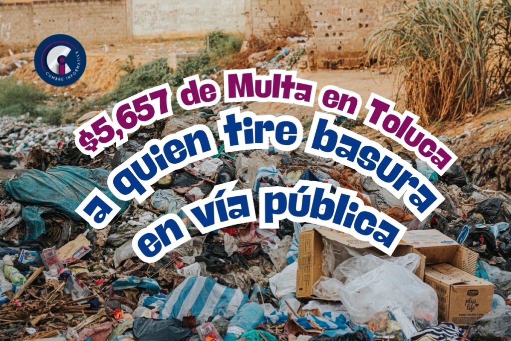 'multas y sanciones en Toluca por tirar basura'