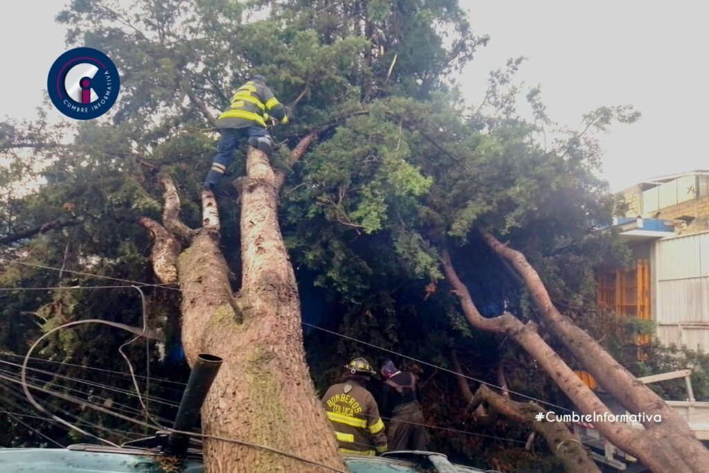 'protección civil atiende incidentes por lluvias'