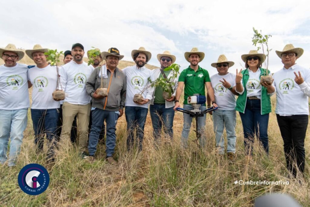'pvem arranca campaña de reforestación'