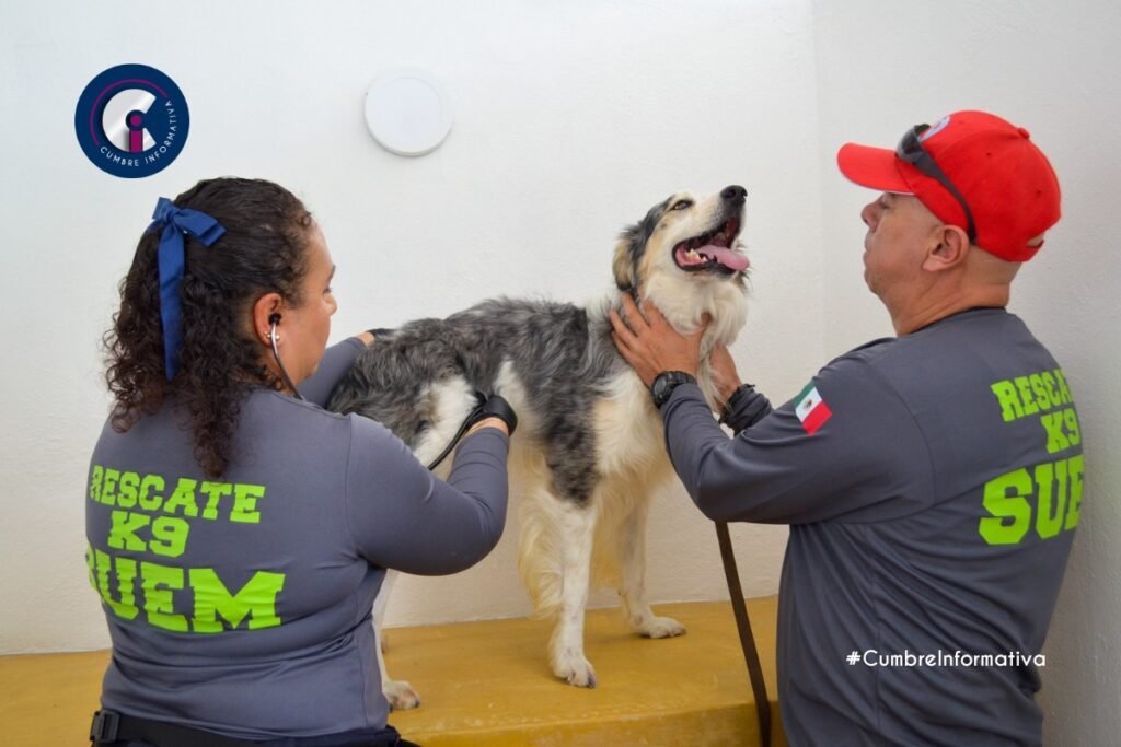 'equipo k9 SUEM'