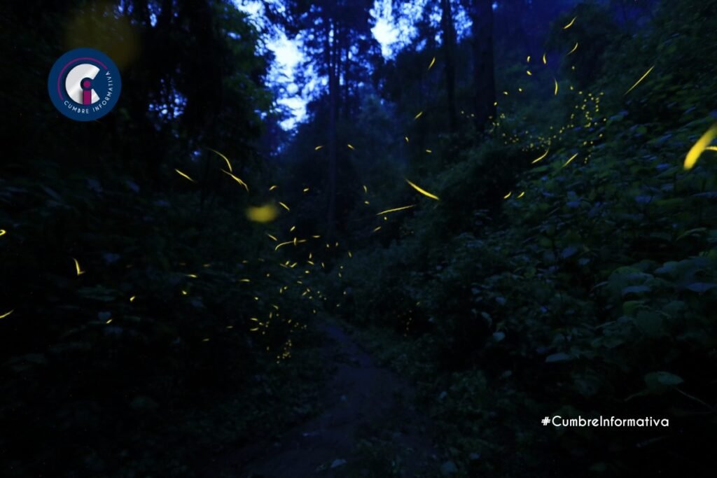 'festival de las luciérnagas 2025 en edomex'