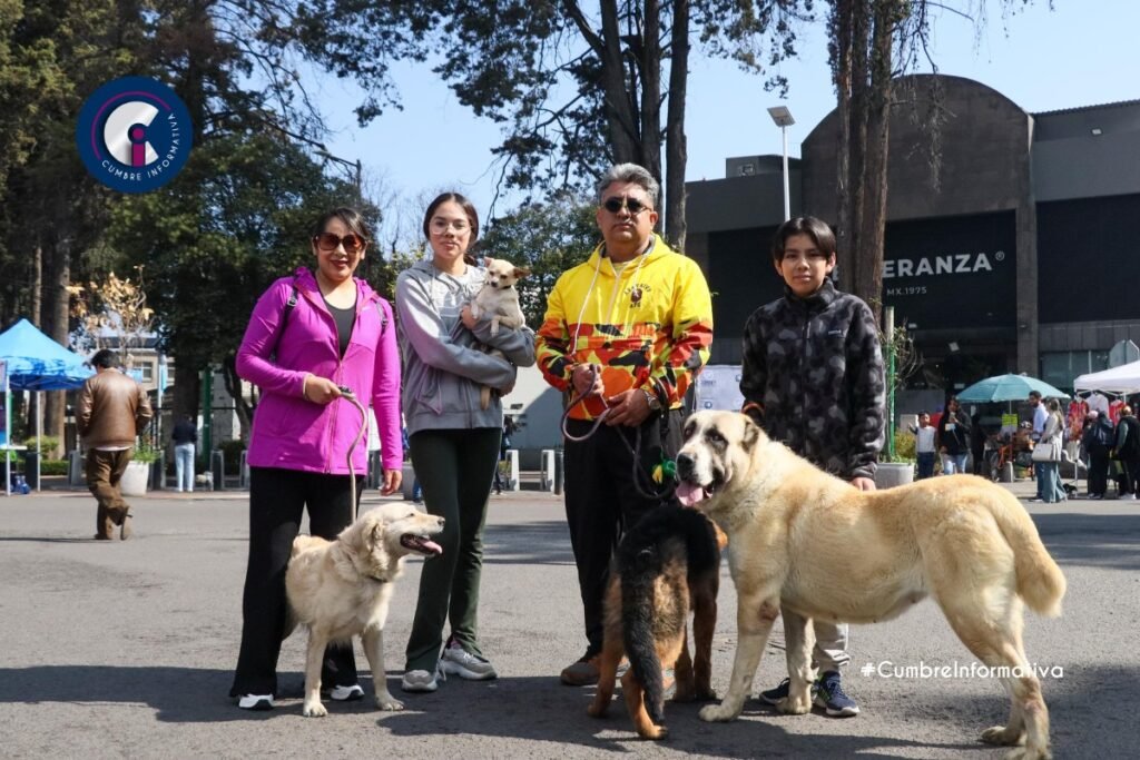 'nuevo centro de bienestar animal en Toluca'