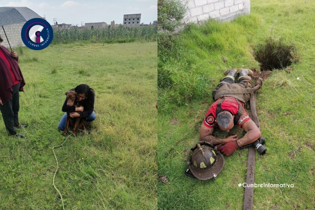 'Bomberos de Toluca rescatan lomito que cayó en pozo'