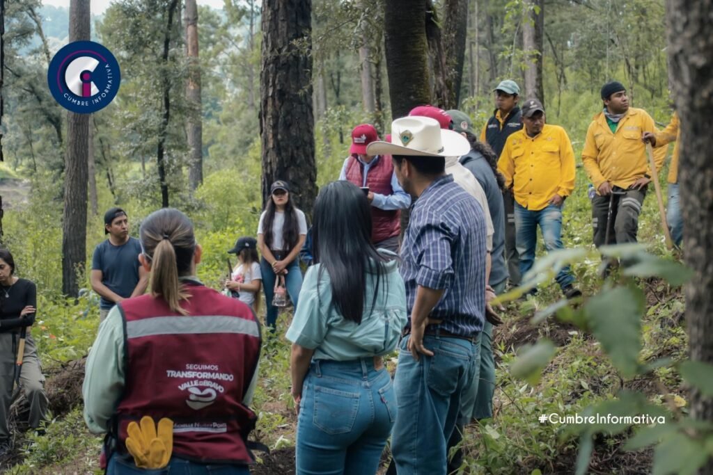 'Michelle Núñez lidera reforestación masiva en Valle de Bravo'
