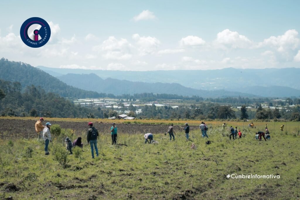 'Valle de Bravo impulsa la reforestación'