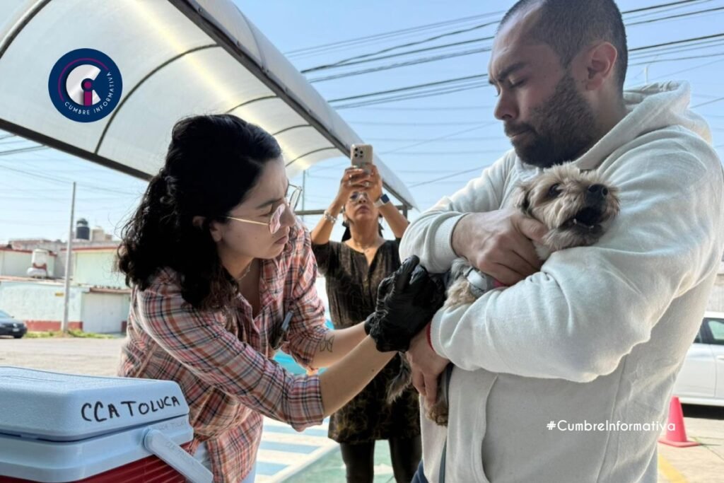 'esterilización animal en Toluca programa cevmar'