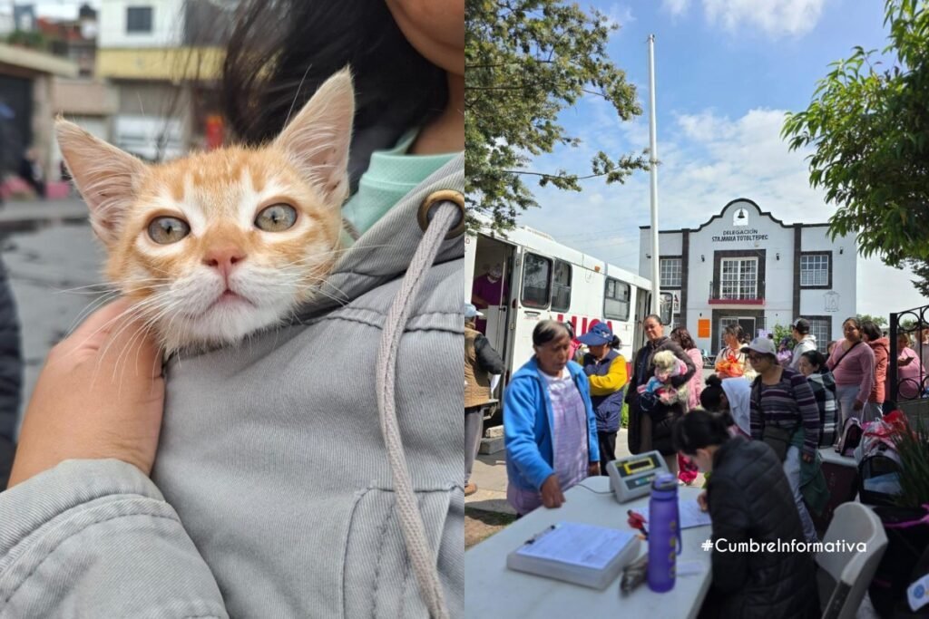 'esterilización animal en Toluca programa cevmar'