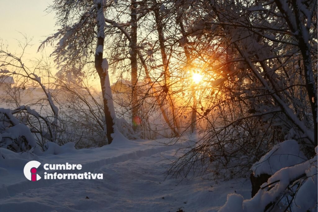 Suman 35 muertos por megatormenta invernal en Estados Unidos; frío polar mantiene en alerta al país