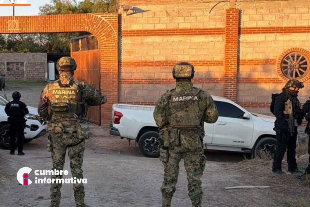 aseguran tigres y autos de lujo en Otumba