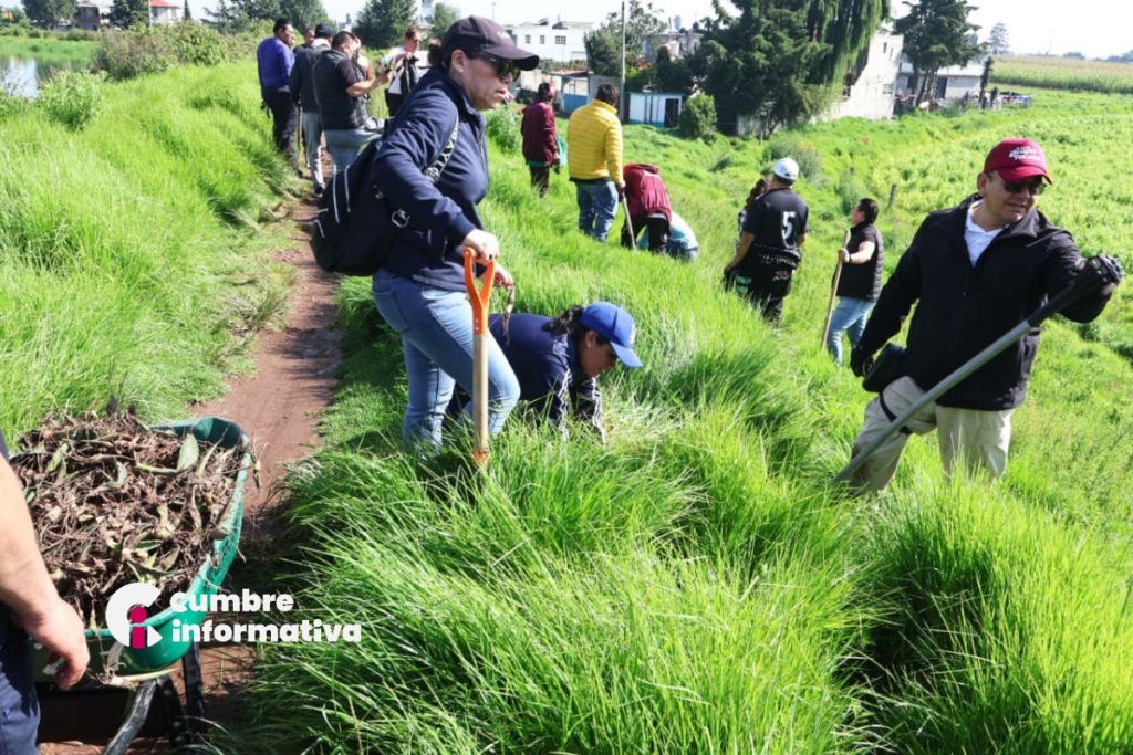Toluca avanza en la restauración ambiental con la plantación de 118 mil árboles y plantas