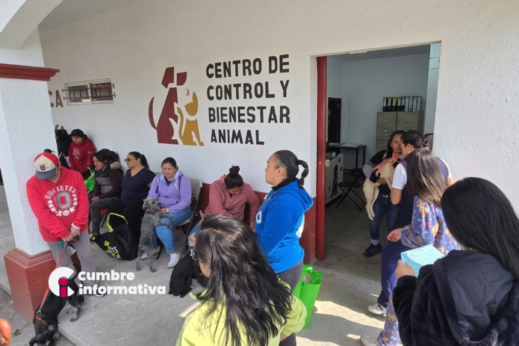Toluca fortalece el bienestar animal con más esterilizaciones y vacunas