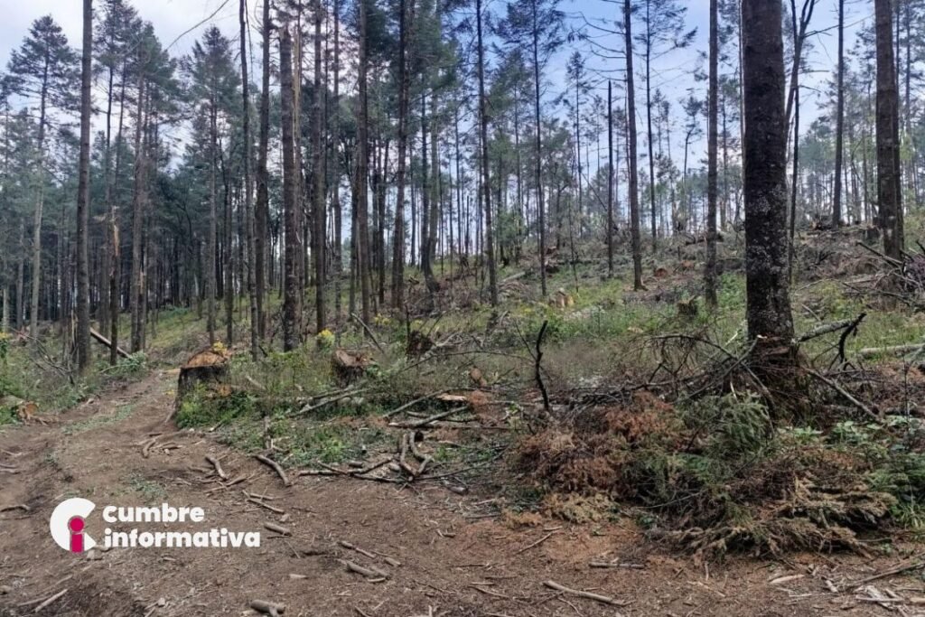 Habitantes de La Marquesa denuncian tala clandestina, el presunto cierre de un camino por Gran Reserva Santa Fe y exigen apoyo de autoridades municipales, estatales y federales.