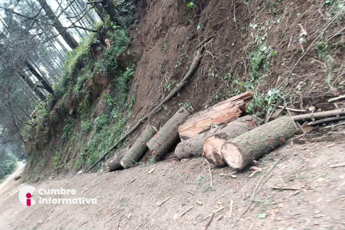 Habitantes de La Marquesa denuncian tala clandestina, el presunto cierre de un camino por Gran Reserva Santa Fe y exigen apoyo de autoridades municipales, estatales y federales.